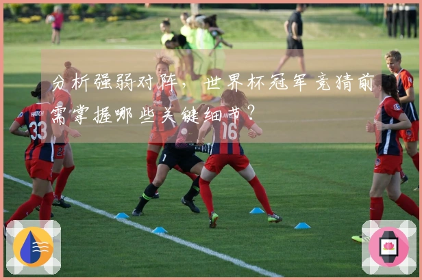 分析强弱对阵，世界杯冠军竞猜前需掌握哪些关键细节？