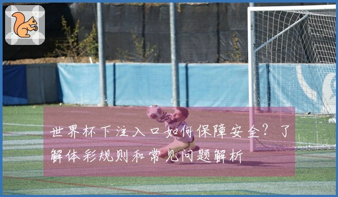 世界杯下注入口如何保障安全？了解体彩规则和常见问题解析