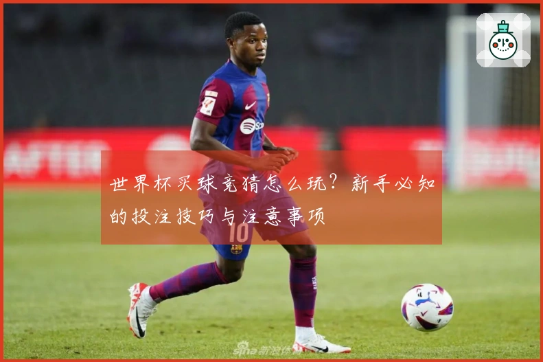 世界杯买球竞猜怎么玩？新手必知的投注技巧与注意事项