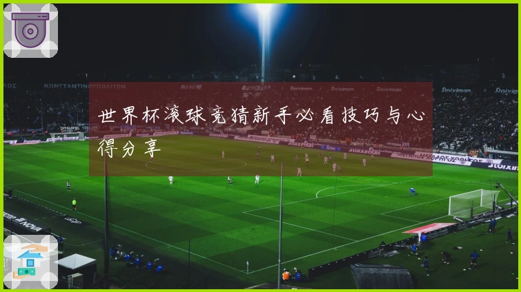 世界杯滚球竞猜新手必看技巧与心得分享
