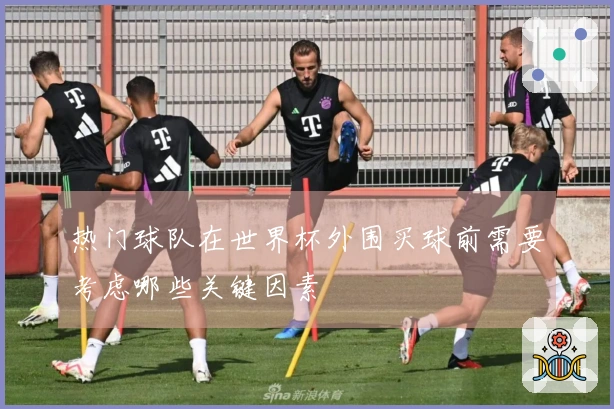 热门球队在世界杯外围买球前需要考虑哪些关键因素