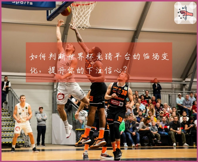 如何判断世界杯竞猜平台的临场变化，提升你的下注信心？