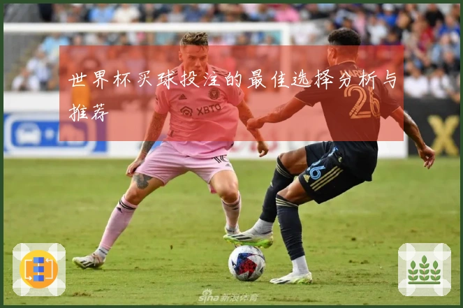 世界杯买球投注的最佳选择分析与推荐