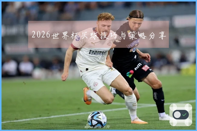 2026世界杯买球技巧与策略分享