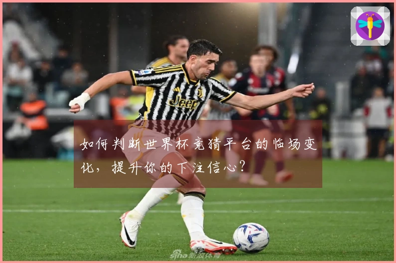 如何判断世界杯竞猜平台的临场变化，提升你的下注信心？