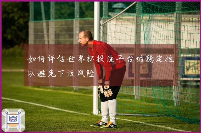 如何评估世界杯投注平台的稳定性以避免下注风险
